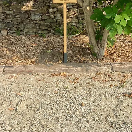 Apartamento Casa Letizia